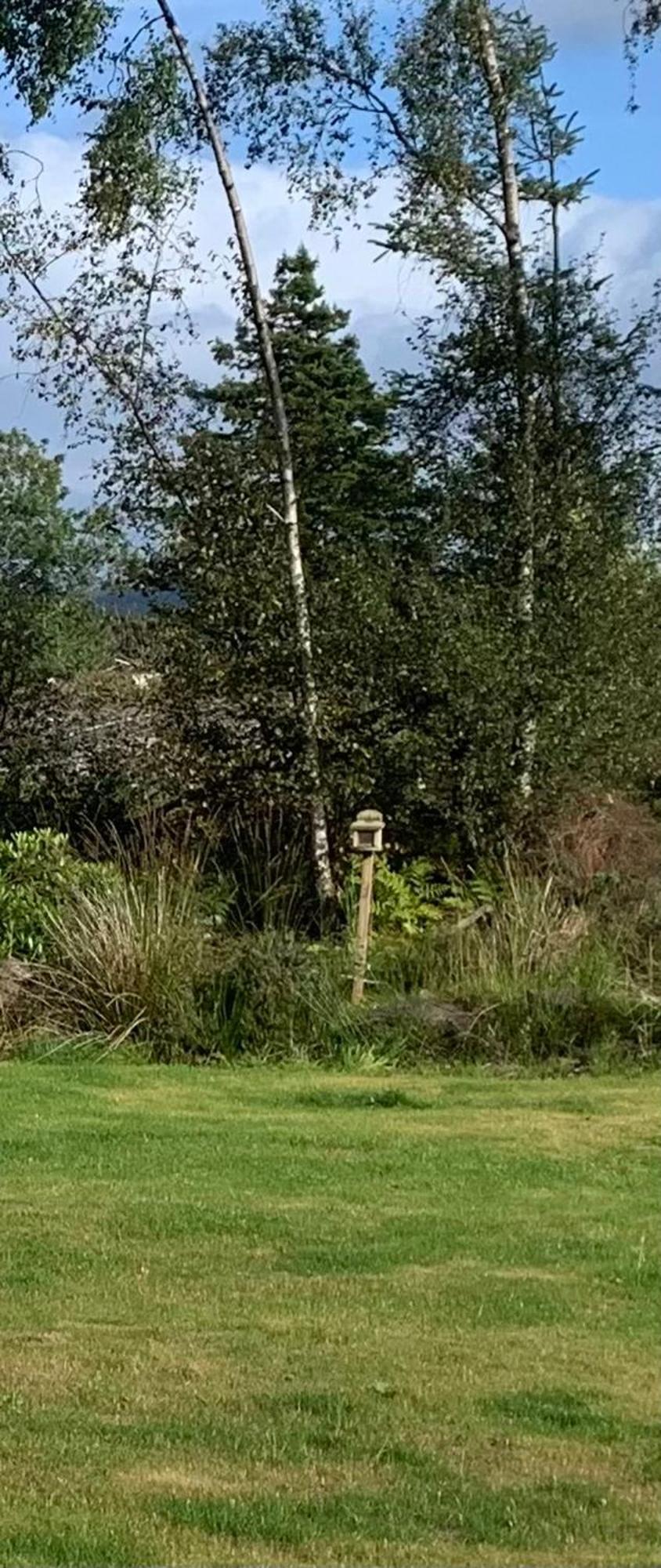 Villa Tawny Owl Pod With Hot Tub Oban Esterno foto