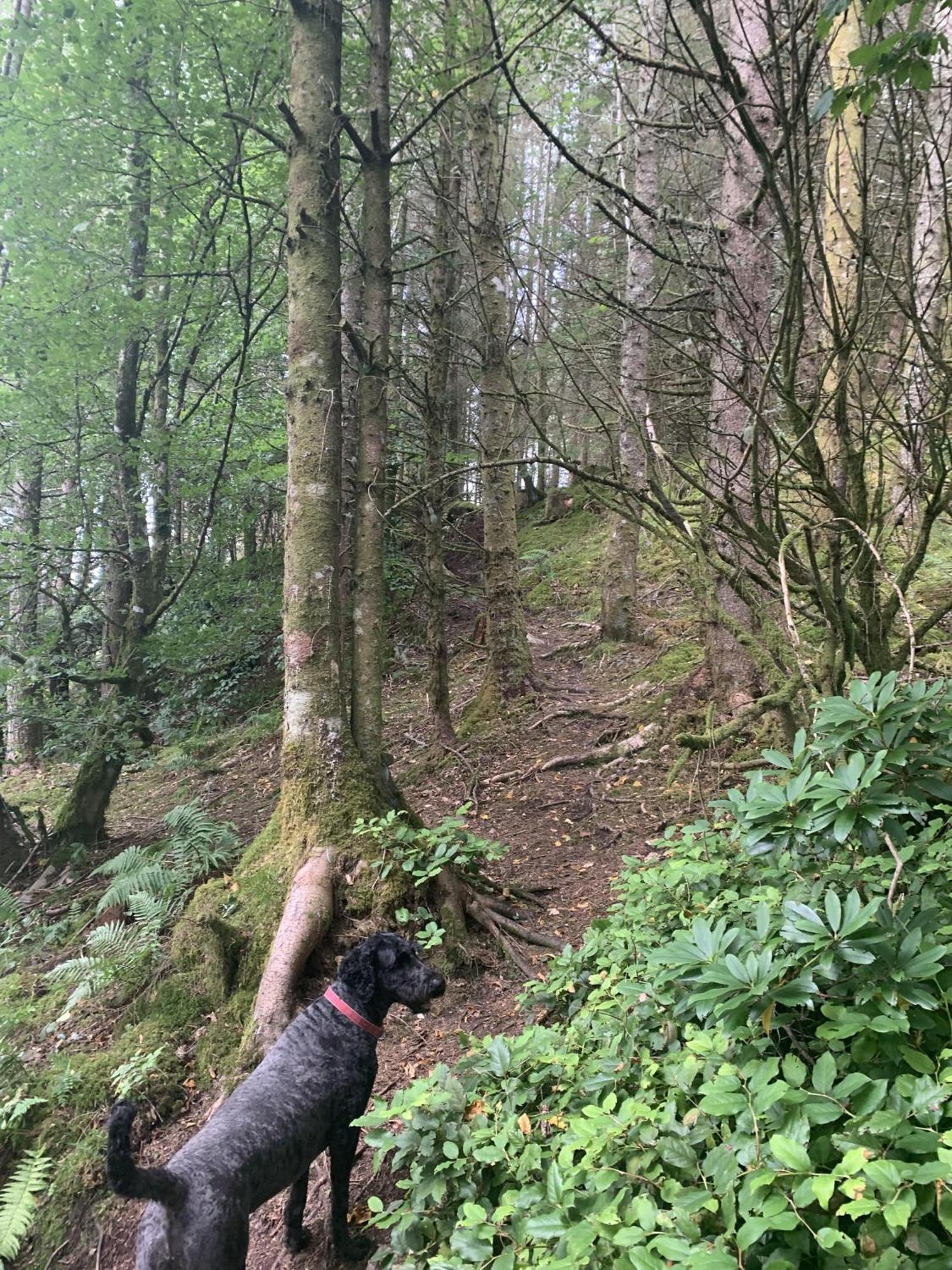 Villa Tawny Owl Pod With Hot Tub Oban Esterno foto